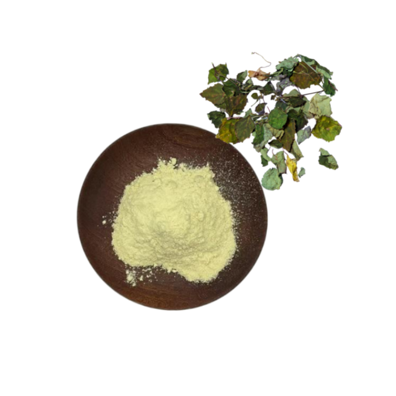 Epimedium Leaf Powder Supplier - Natural Sagittatum