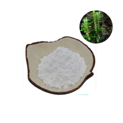 Huperzine A Powder Supplier - Plant Extract OEM