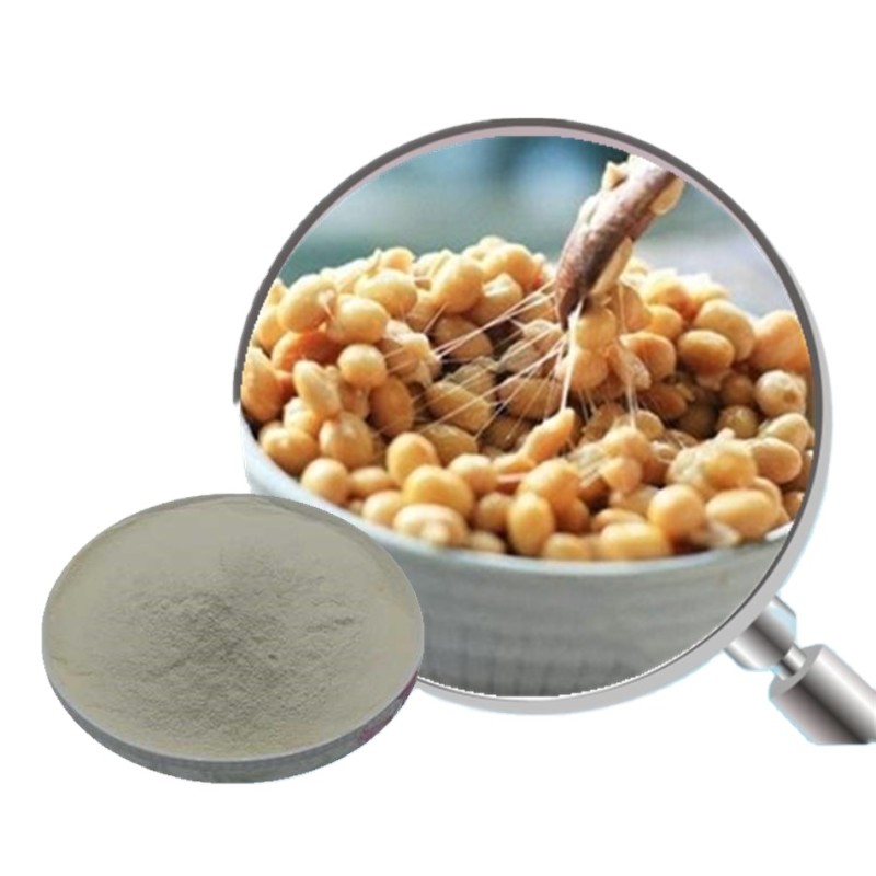 Soybean Extract Factory - Nattokinase 20000FU/G