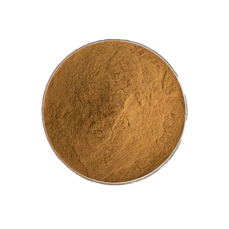 Acanthopanax Extract Supplier - Eleutheroside B+E