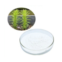 Huperzia Extract Manufacturer - Huperzine A 1-98%