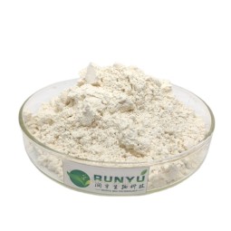 Grapefruit Extract Manufacturer - Naringin 98%