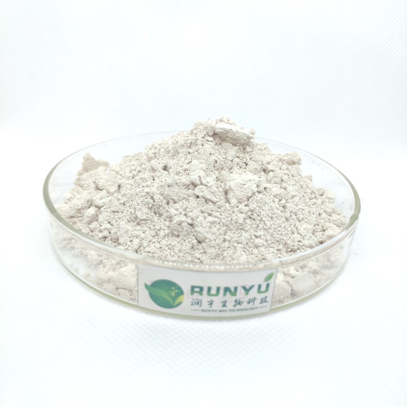 Polygonum Extract Factory - 50% Resveratrol