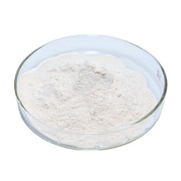Nattozimes Powder Manufacturer - 40000FU/G K2 Free