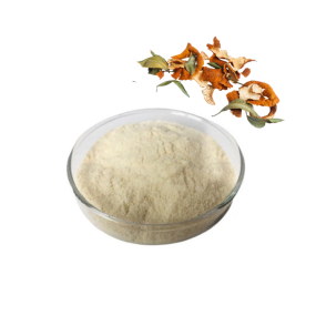 Hesperidin Powder Manufacturer - Bitter Orange Extract