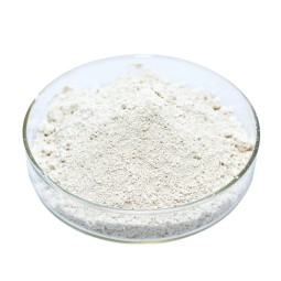 Huperzine-A Powder Manufacturer - 98% Natural
