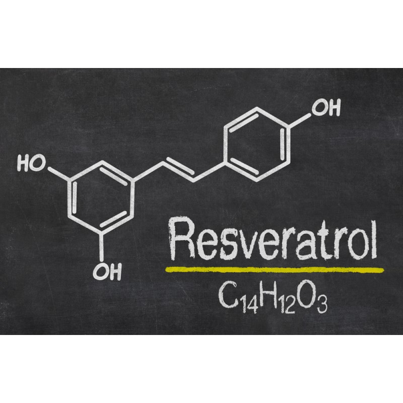 Transresveratrol Supplier - 98% Natural Powder