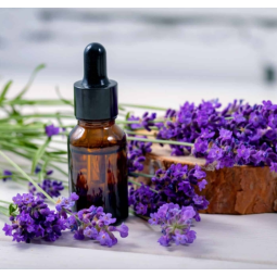 Lavender Essential Oil Manufacturer - Steam Distilled