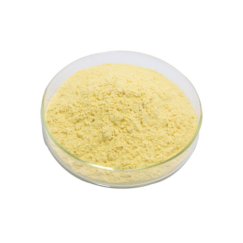 Luteolin Powder Supplier - CAS 491-70-3