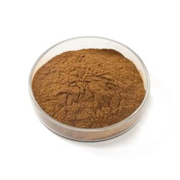 Butchers Broom Extract Supplier - 20:1 Root