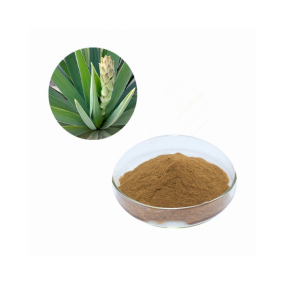 Yucca Extract Powder Manufacturer - Sarsaponins