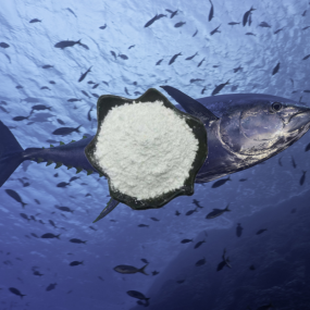 Hydrolyzed Collagen Factory - Nutrition Supplement