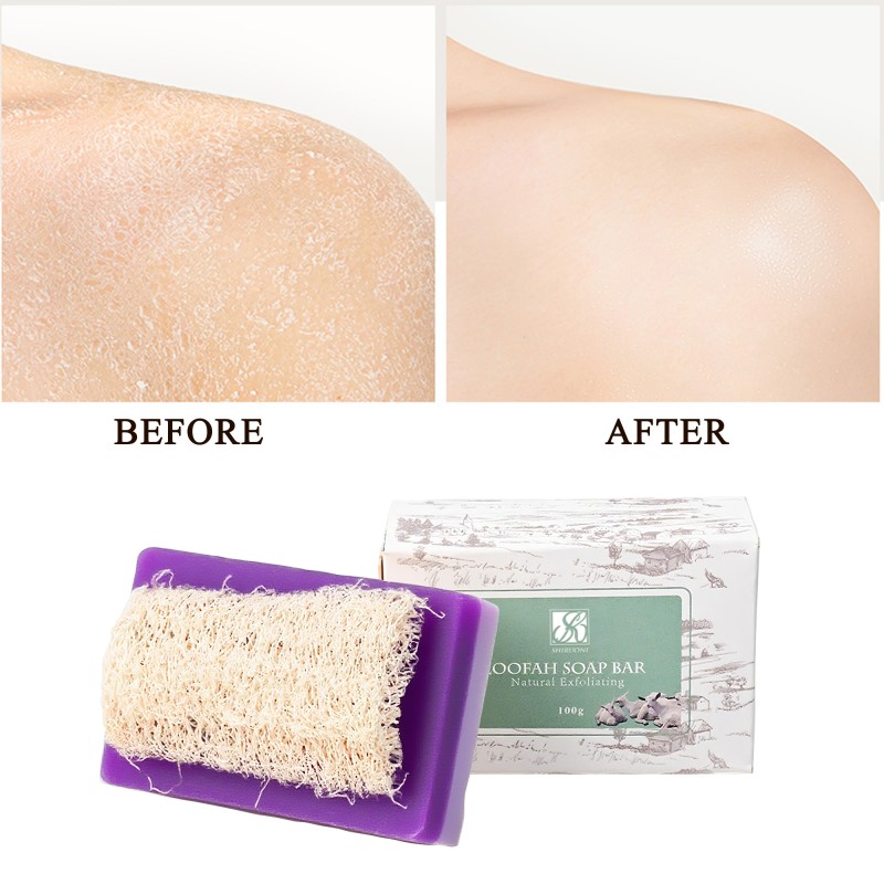 OEM Natural Vegan Loofah Soap Bar Olive Oil Lavender Oil Nourishes Antioxidant Gently Exfoliates Skin Care Loofah Bar Soap