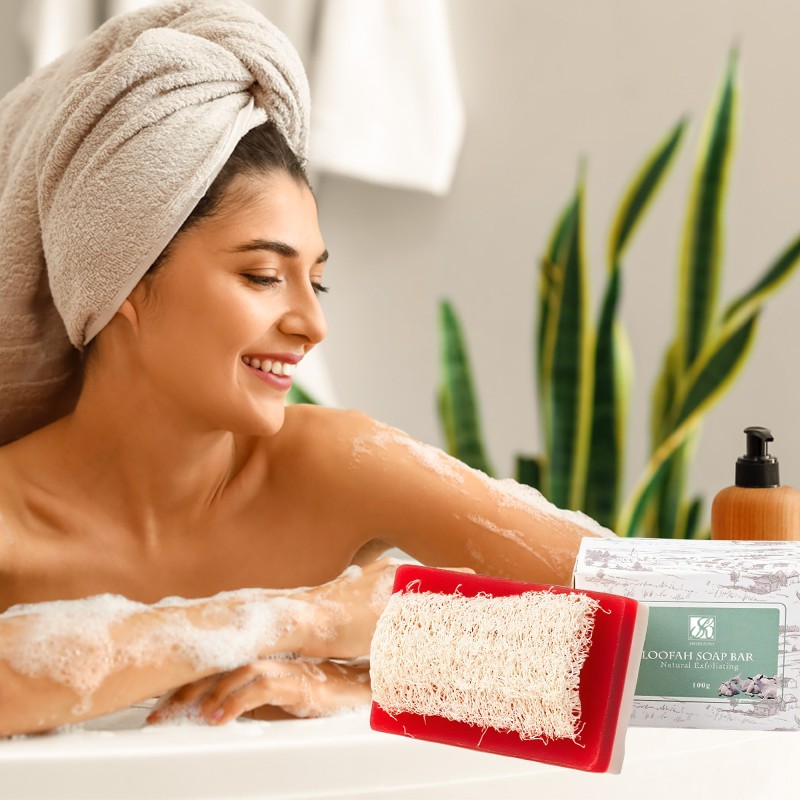 OEM Natural Cranberry Loofah Soap Bar Olive Oil Coconut Oil Nourishes Antioxidant Gently Exfoliates Skin Care Loofah Bar Soap