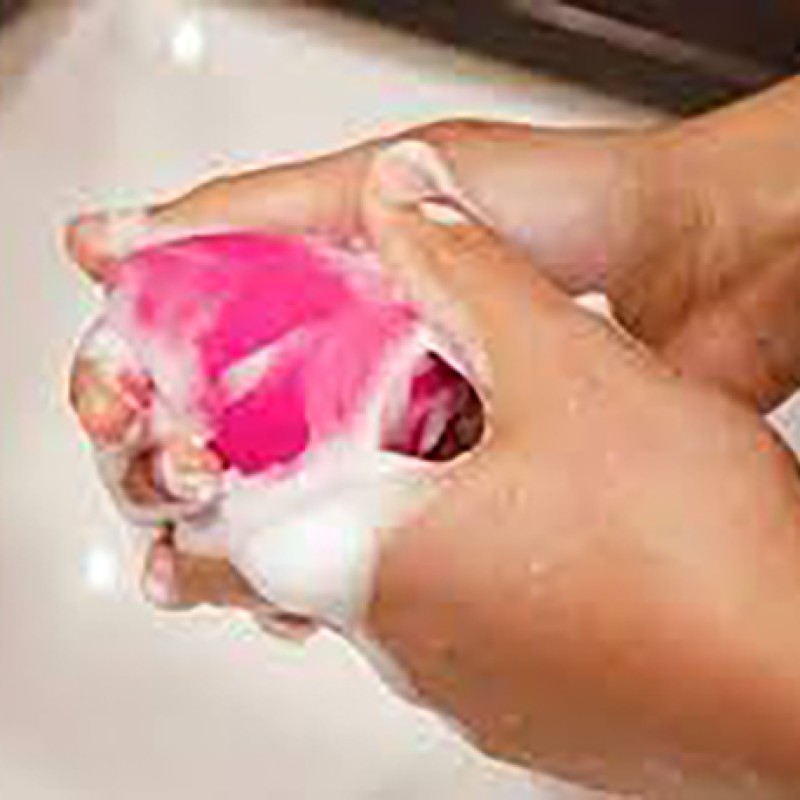 Private Label Vegan Professional Beauty Sponge Cleansing Shampoo Squeeze Makeup Brushes Cleaner
