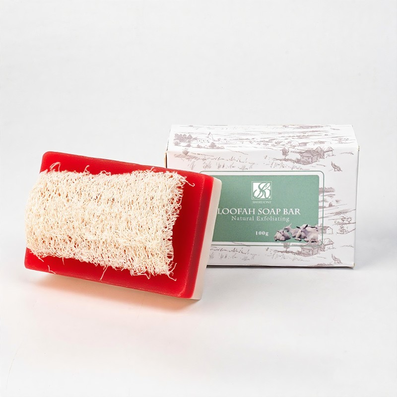 OEM Natural Cranberry Loofah Soap Bar Olive Oil Coconut Oil Nourishes Antioxidant Gently Exfoliates Skin Care Loofah Bar Soap
