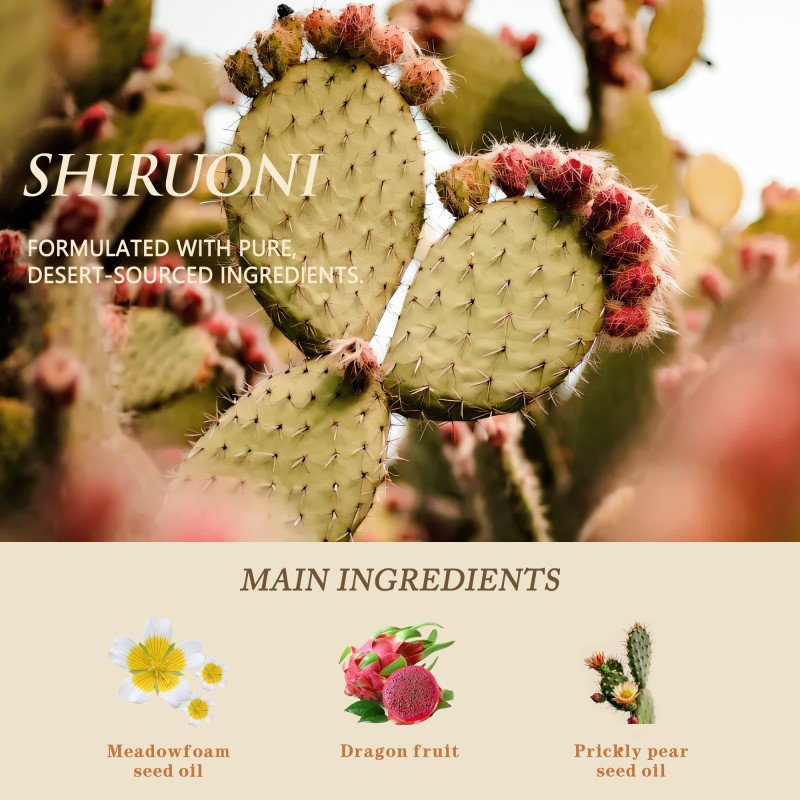 Custom Private Label Brittle Styled Moisture Nourishes Hair Repairing Smooth and Soft Curls Cacti Styling Cream