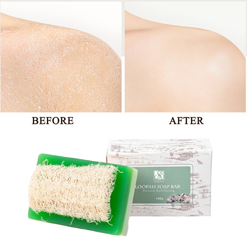 OEM Natural Vegan Loofah Soap Bar Olive Oil Coconut Oil Nourishes Antioxidant Gently Exfoliates Skin Care Loofah Bar Soap