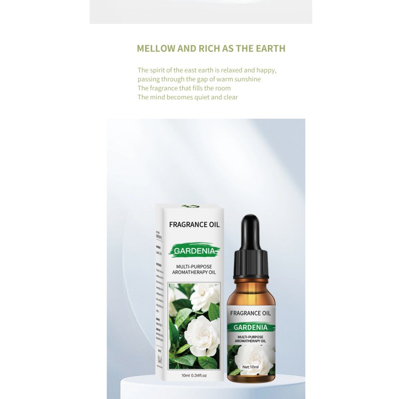 Reed Diffuser Oil Supplier - Air Freshener