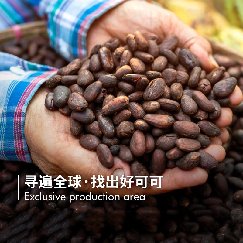 Cacao Powder Manufacturer - Pure Chocolate