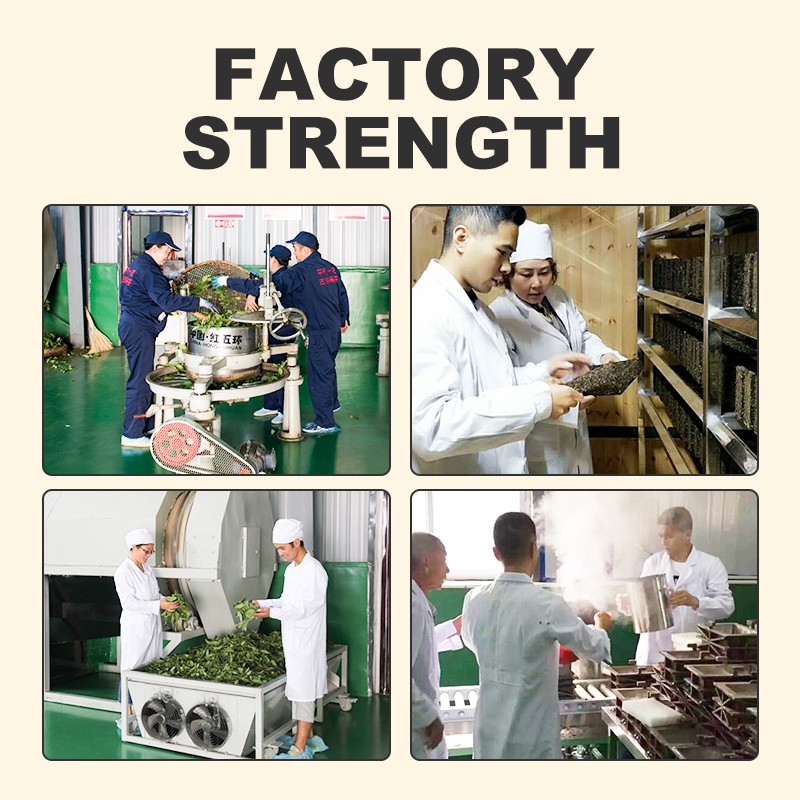 Health Tea Factory - Traditional Chinese