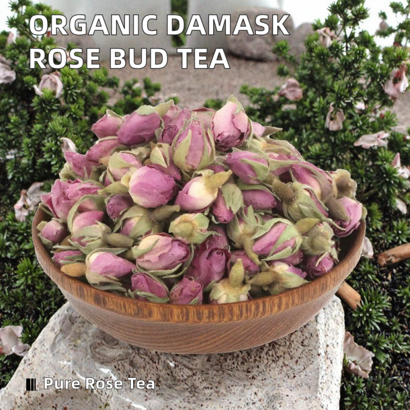 Egg Bites Mold Factory - Silicone Stainless