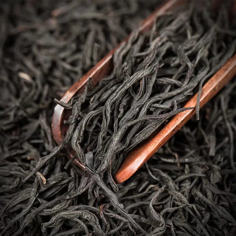 Black Tea Leaves Factory - Eurotium Cristatum