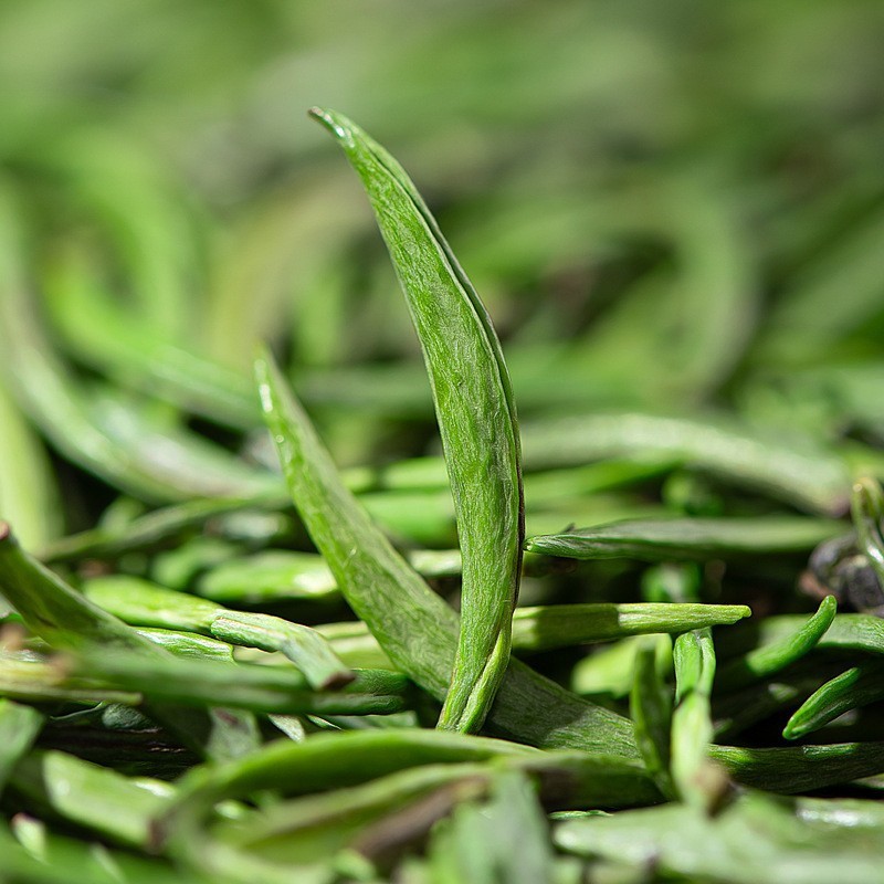 Japanese Green Tea Supplier - Dried Leaves