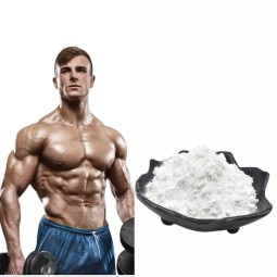 Creatine Monohydrate Supplier - Nitrate Option