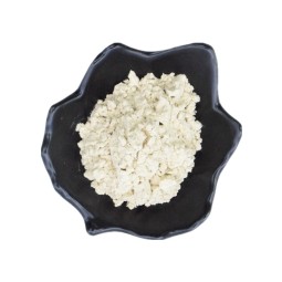 Shiitake Beta Glucan Factory - Water Soluble