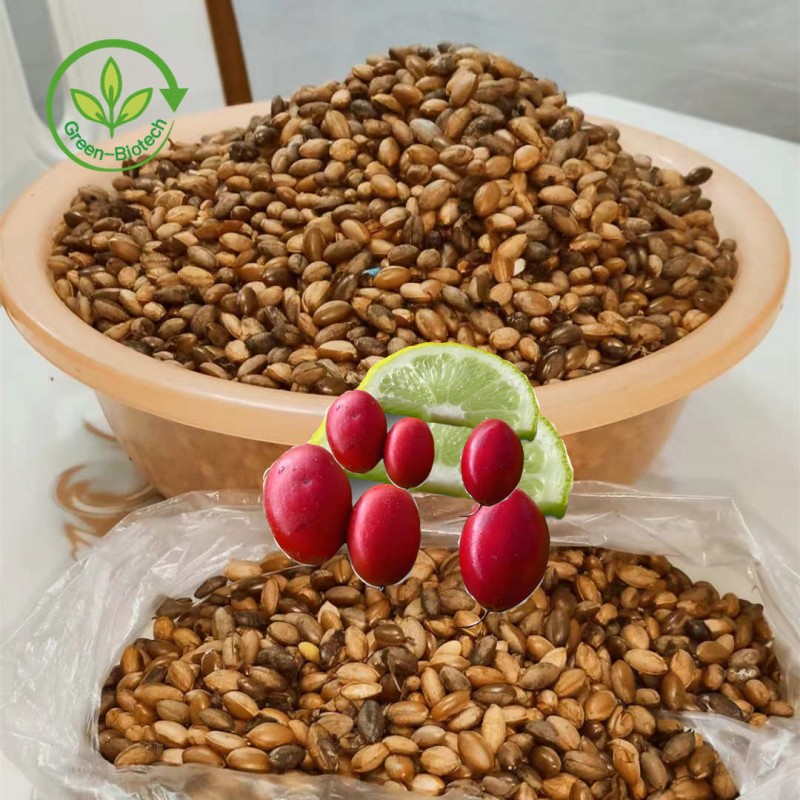 Miraculous Berry Manufacturer - Pure Powder