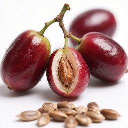 Organic Miracle Berry Manufacturer - Palate Modify