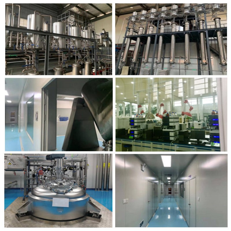 Boswellia Extract Supplier - Boswellic Acid