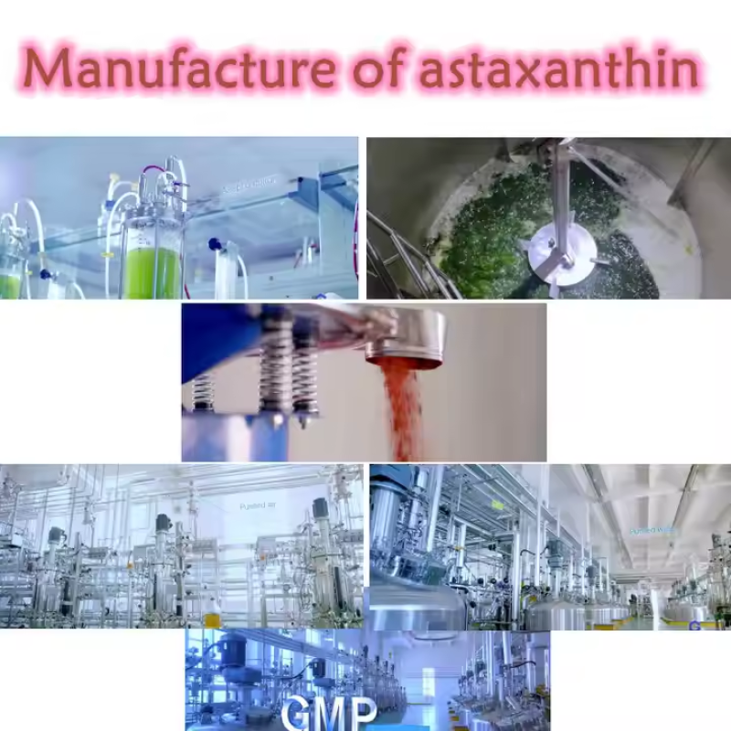 Astaxanthin Oil Supplier - 10% Haematococcus