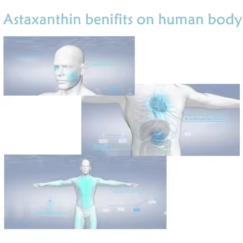 Astaxanthin Extract Manufacturer - 16mg Bulk