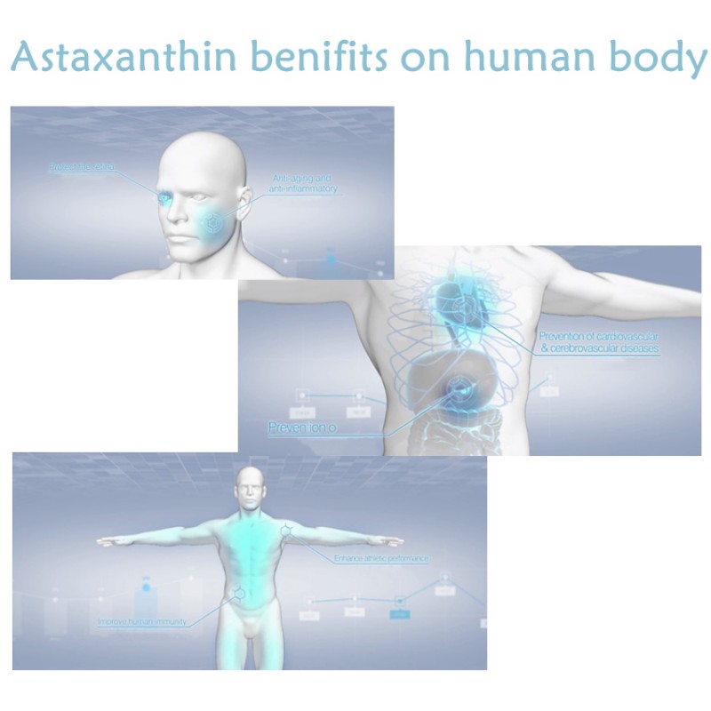 Canthaxanthin Difference Factory - Astaxanthin 100%