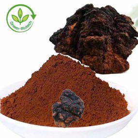 Chaga Extract Manufacturer - 10%-50% Polysaccharides
