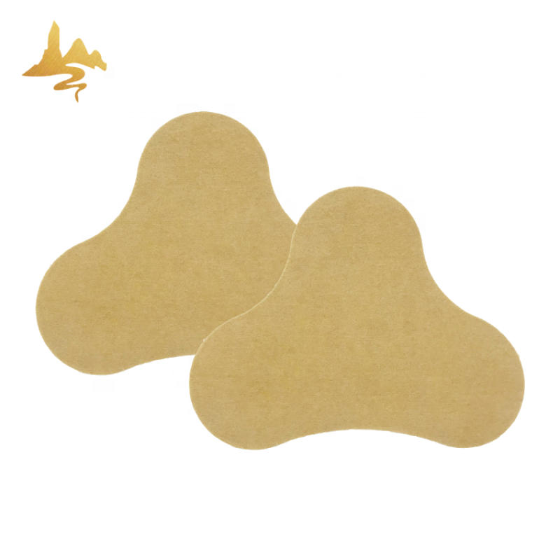Wormwood Neck Patch Manufacturer - Eco-friendly Cervical Pain Relief