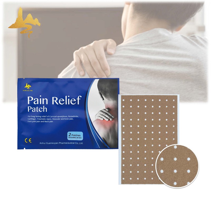 Herbal Menthol Patch Manufacturer - Medical Adhesive Pain Relief