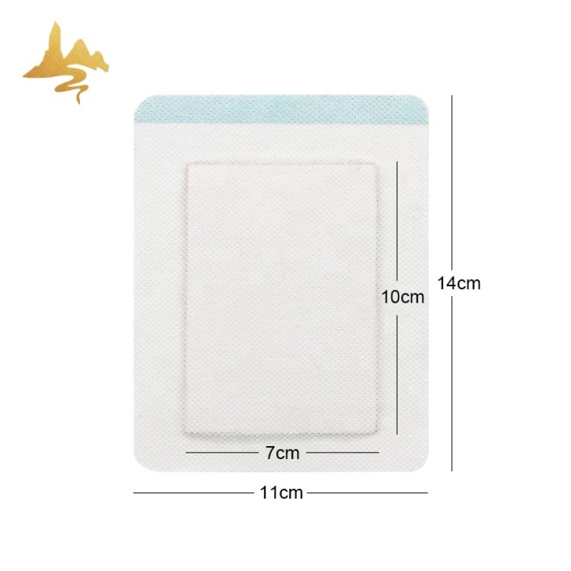 Herbal Plaster Supplier - Hot & Cold Therapy for Back Sciatica Pain