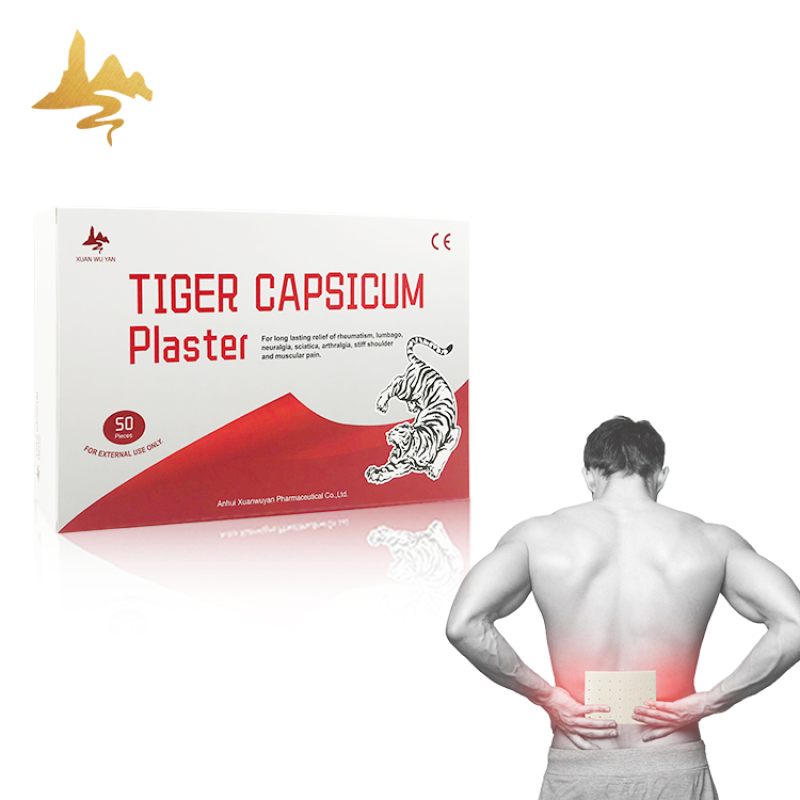 Capsicum Plaster Supplier - Custom Logo Muscle Pain Relief Patch