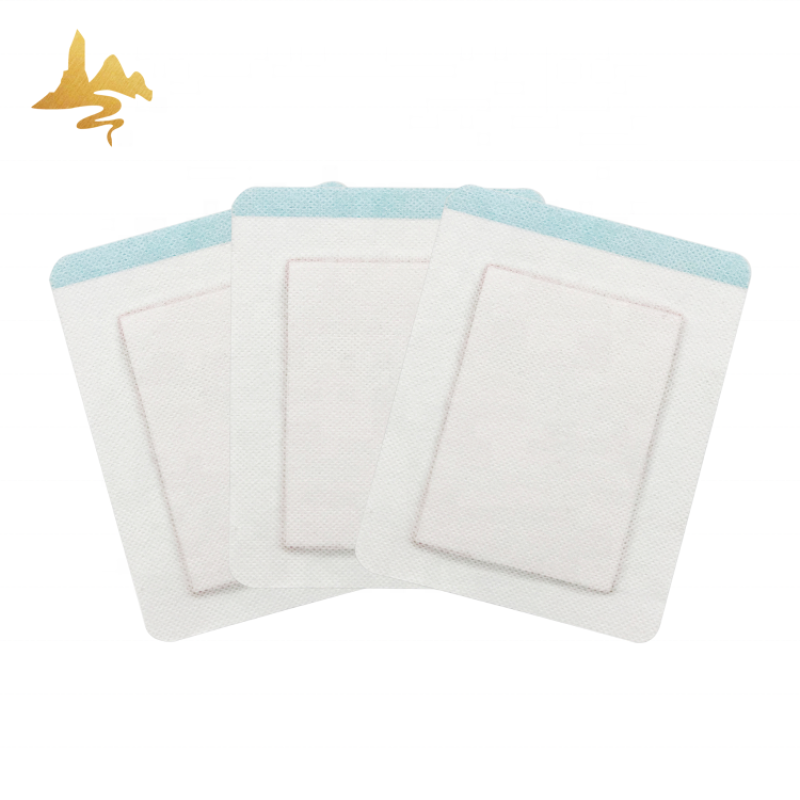 Herbal Plaster Supplier - Hot & Cold Therapy for Back Sciatica Pain