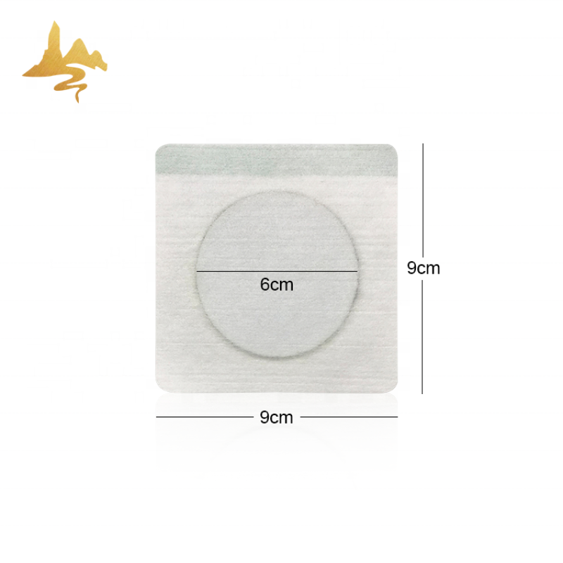 Ginger Transdermal Patch Supplier - Sports Body Heat Pain Relief