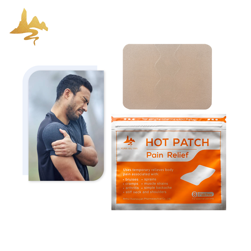 Capsicum Therapy Pack Supplier - Hot & Cold Muscle Pain Relief Patch