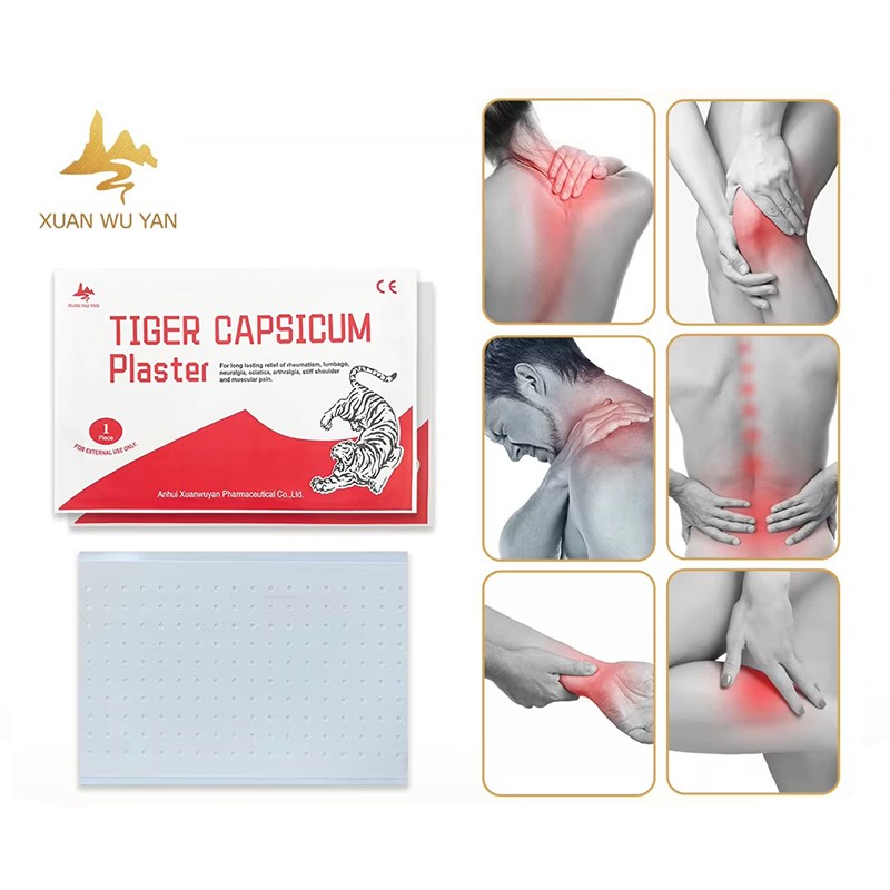 Capsicum Plaster Supplier - Custom Logo Muscle Pain Relief Patch