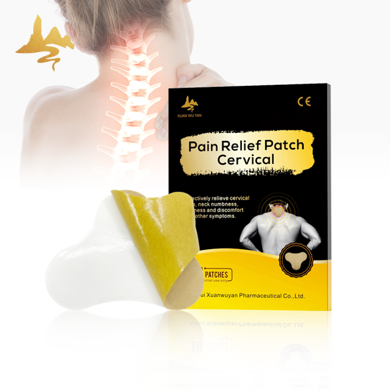 Pain Relief Plaster Manufacturer - Neck Shoulder Knee Pain Patch
