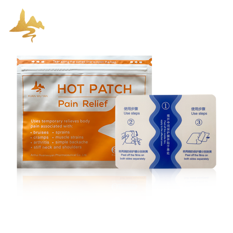 Capsicum Pain Patch Manufacturer - Targeted Hot & Cold Therapy for Adults