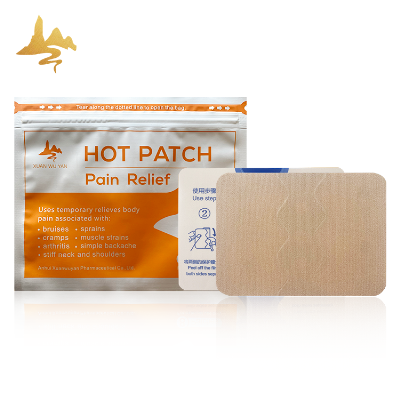 Capsicum Pain Patch Manufacturer - Targeted Hot & Cold Therapy for Adults