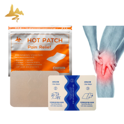Capsicum Therapy Pack Supplier - Hot & Cold Muscle Pain Relief Patch