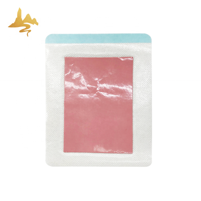 Herbal Plaster Supplier - Hot & Cold Therapy for Back Sciatica Pain